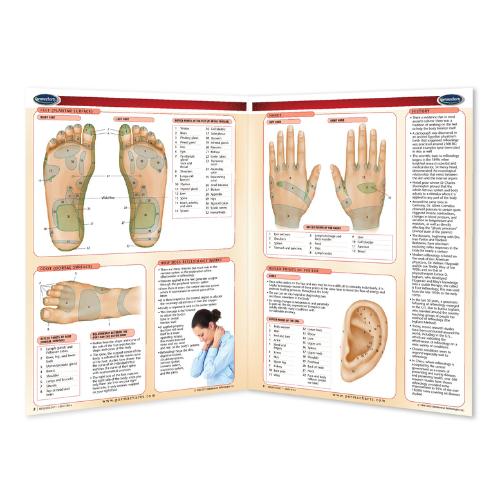 Reflexology Guide & Maps (Digital Edition)