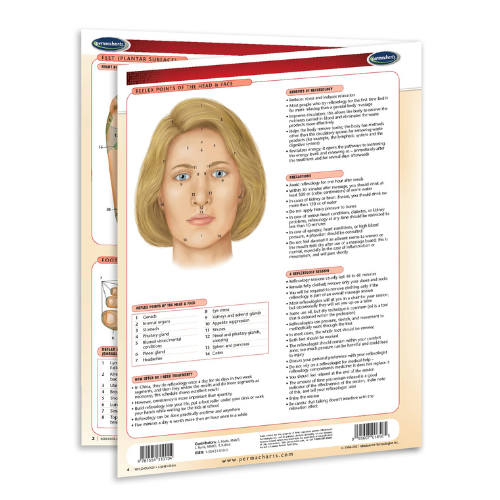 Reflexology Guide & Maps (Digital Edition)