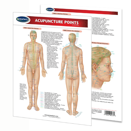 Acupuncture Points Chart (Digital Edition)